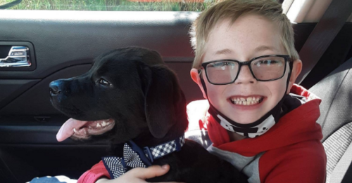 Boy Sells His Prized Pokémon Cards To Save His Sick Puppy | Flipboard