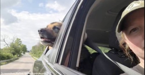 Dog Who Has Been At Shelter For 7 Years Goes On Weekend Getaway In Tear-Jerking Video