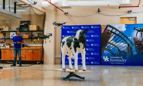 Automated Drones to Monitor Cattle
