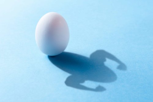 Benefits Of Eating Eggs: The Shell-Shocking Truth