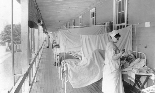 Neue Aufschlüsse über den Erreger der Spanischen Grippe