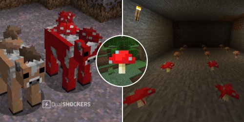 Minecraft: How To Farm Mushrooms