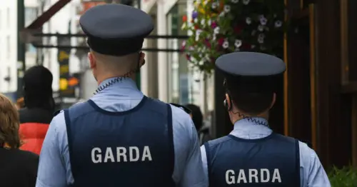 Missing man's body found in Dublin as gardai call off search