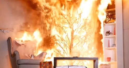 Dublin Fire Brigade's horrifying warning as footage shows how flammable dry Christmas trees are