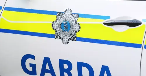 Horror knife attack at home leaves woman with serious injuries as gardai make arrest