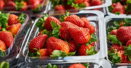 Dead mouse in strawberries punnet and snail in coleslaw among thousands of FSAI complaints in 2023