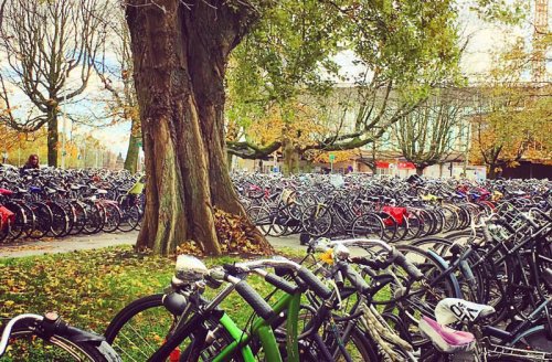 10 Dicas para andar de bicicleta em Amsterdam de maneira segura