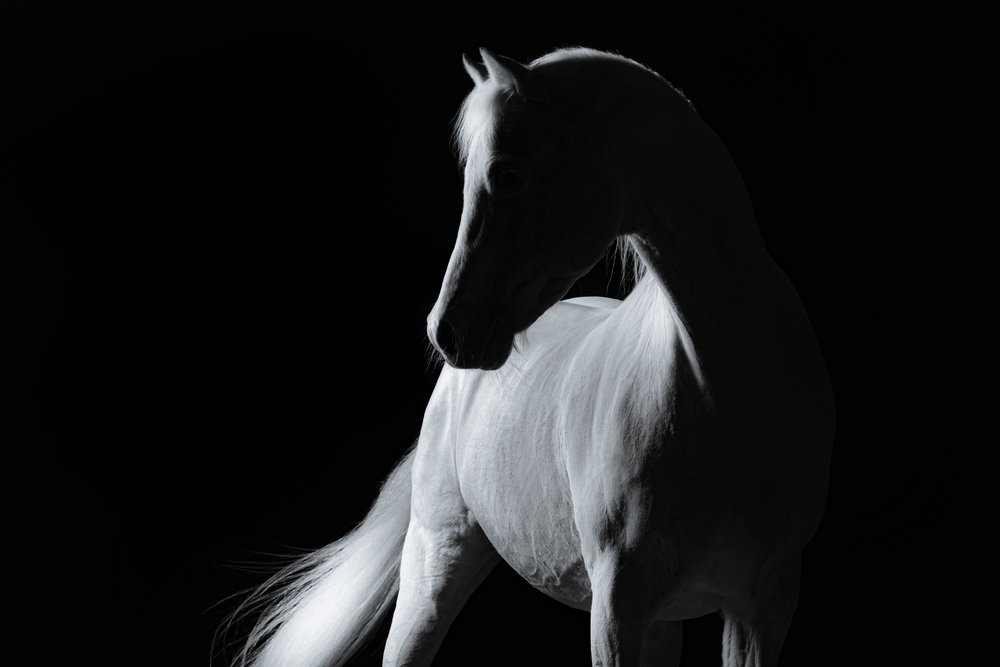 Ideal Subjects for Black and White Photography