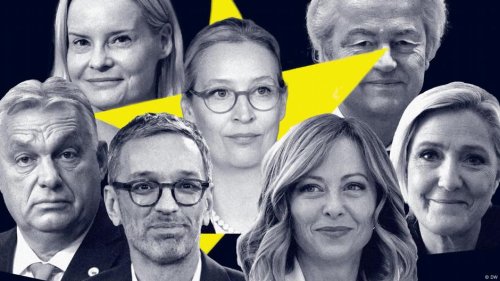 Die AfD und ihre europäischen Geschwister