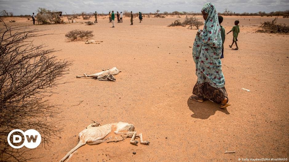 IRC: Die 20 schlimmsten humanitären Krisen