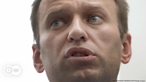 Russia suspends activities of Alexei Navalny's campaign groups