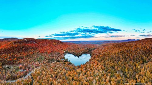 Wald statt Wartezimmer: Macht uns Natur schneller gesund?
