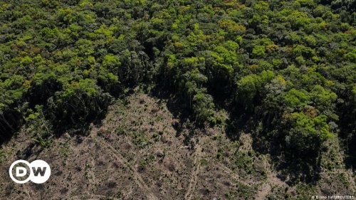 Relatório liga bancos a fazendas com ficha suja na Amazônia