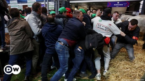 French farmers storm Paris agriculture fair