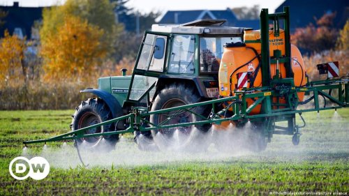 Glyphosate: What's wrong with the pesticide?