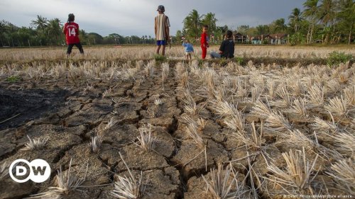 El Nino: 2023 on track to be hottest year ever on record