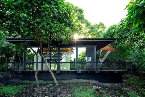 An Off-Grid Cabin Wrapped in Glass Hunkers in a Hawaiian Forest
