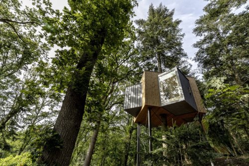 Løvtag Tree House Cabin by Sigurd Larsen