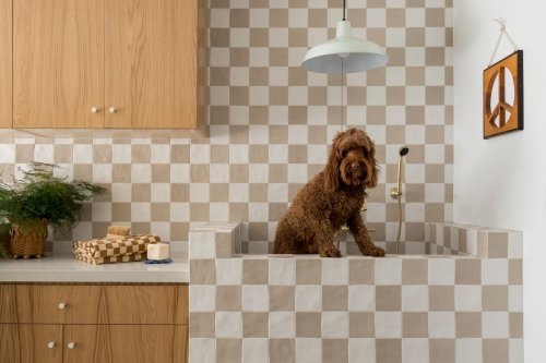 Designers Are Creating At-Home Pet Spas for Their Dog-Obsessed Clients