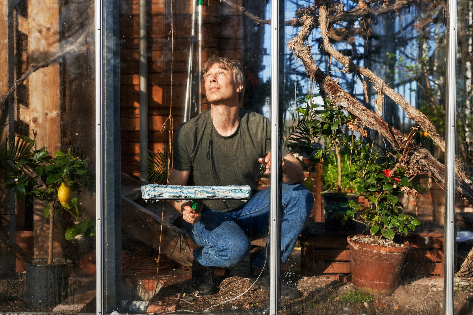 How Sweden Became the Surprising Center of the Greenhouse Home Movement