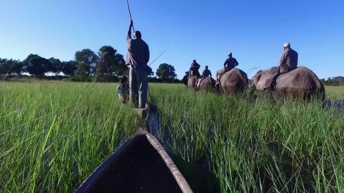 Botswana: Go on Safari with Condé Nast Traveler’s VOYAGES