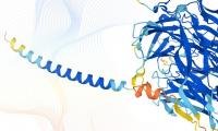 DeepMind and EMBL release the most complete database of predicted 3D structures of human proteins