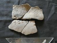 Pottery related to unknown culture was found in Ecuador | EurekAlert! Science News