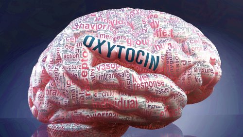 Oxytocin holds the keys to your heart, and also to your mind