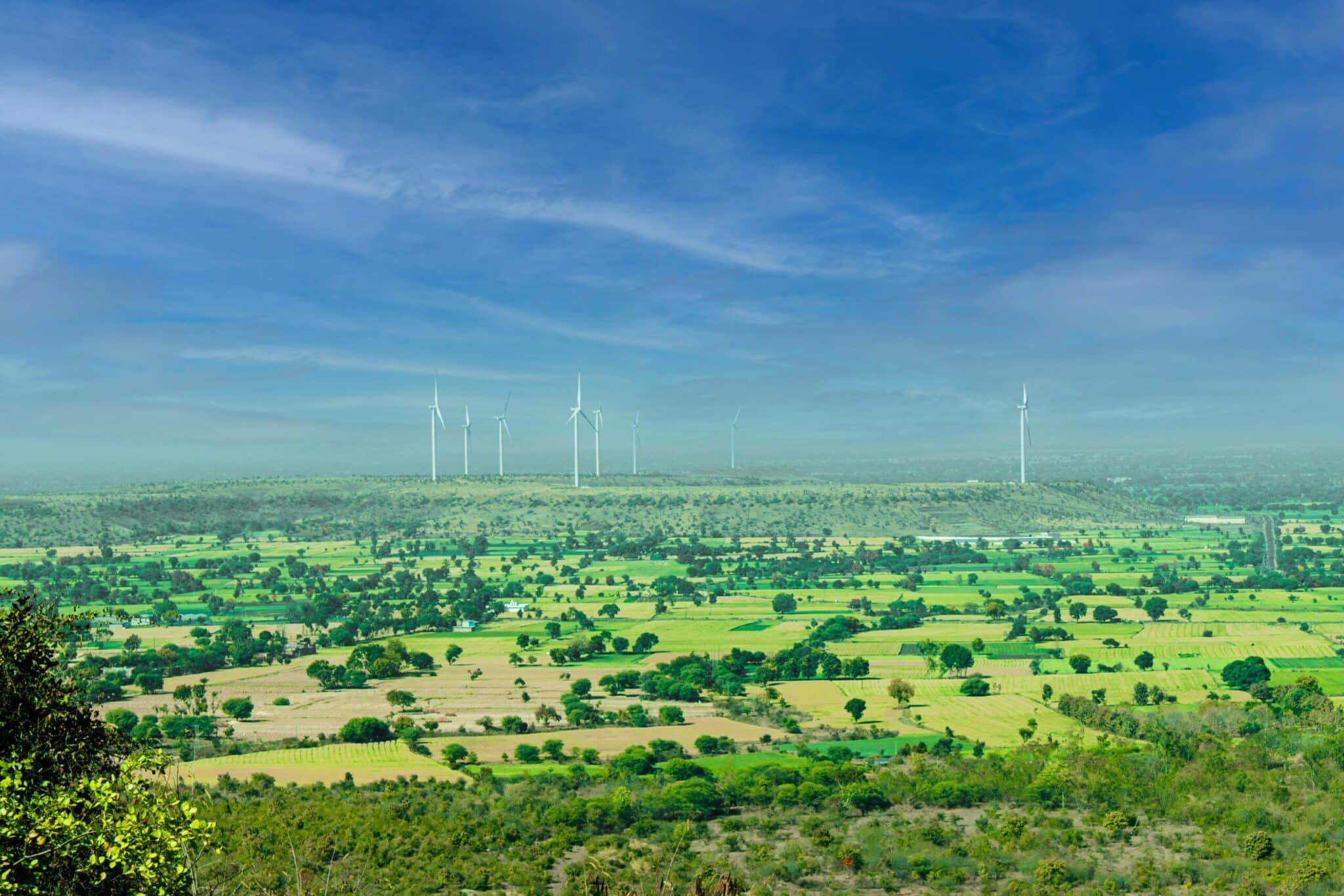 Renewable Pioneers in the Global South
