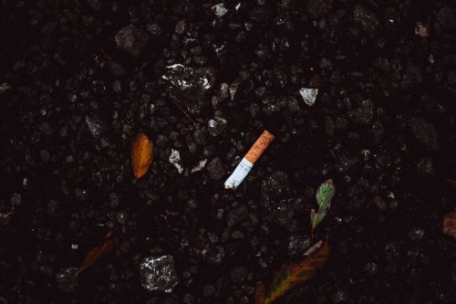 Tiny but deadly: Cigarette butts are the most commonly polluted plastic - Earth Day