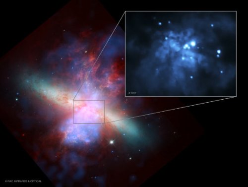 Strange case of M82 X-1: A rare midsize black hole