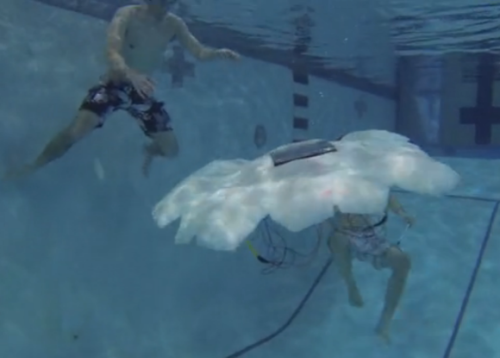 Robotic jellyfish could one day patrol oceans, clean oil spills, and detect pollutants