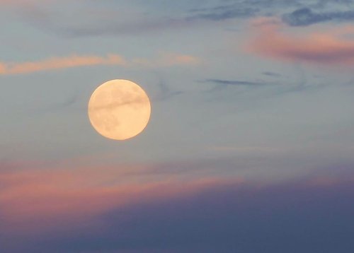 All you need to know: 2020's Harvest Moon | Astronomy Essentials | EarthSky