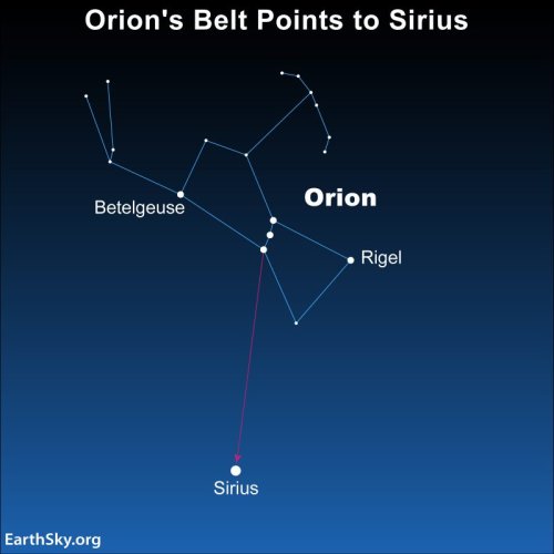 Sirius is a future southern Pole Star | Flipboard