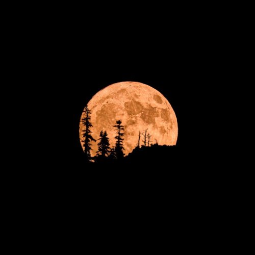The moon illusion makes the moon look huge!