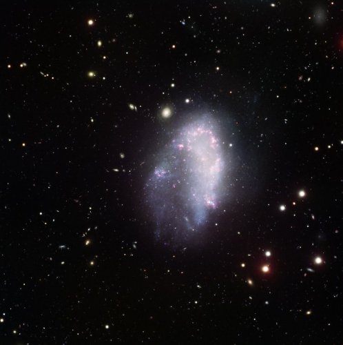 Dark matter mystery in Fornax Cluster