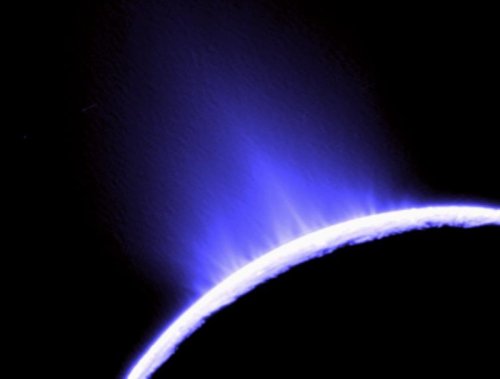 Enceladus hosting cell-sized particles, a hint of life?