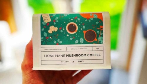 The Best Mushroom Coffee Brands of 2023 – Expert Picks