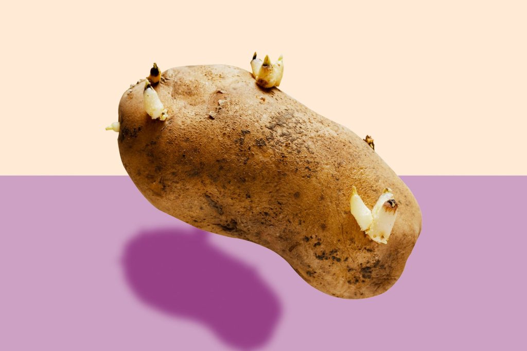 General Info - cover