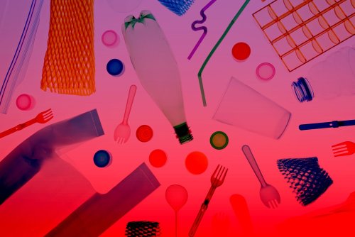 Microplastics Are Everywhere—Scientists Share Which Plastic Kitchen Gadgets They Want You to Replace