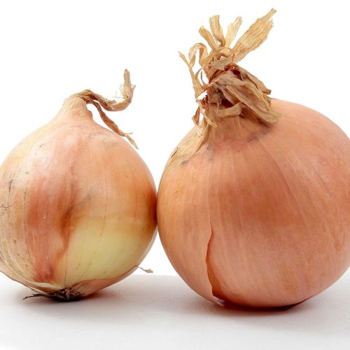 Freeze Onions to Save Time and Money—Be Sure You Always Have Them on Hand