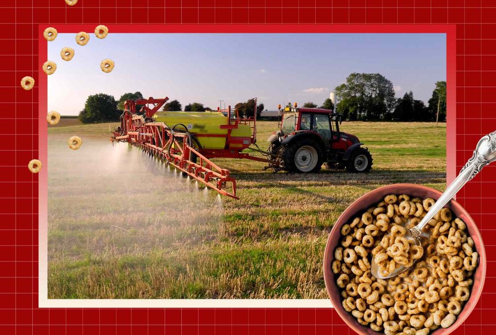 Sustainability - cover