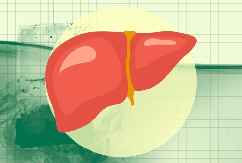 What Happens to Your Liver When You Drink Green Tea Every Day