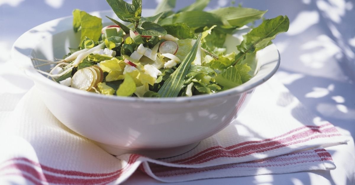 Blattsalat mit Radieschen und Kräutern