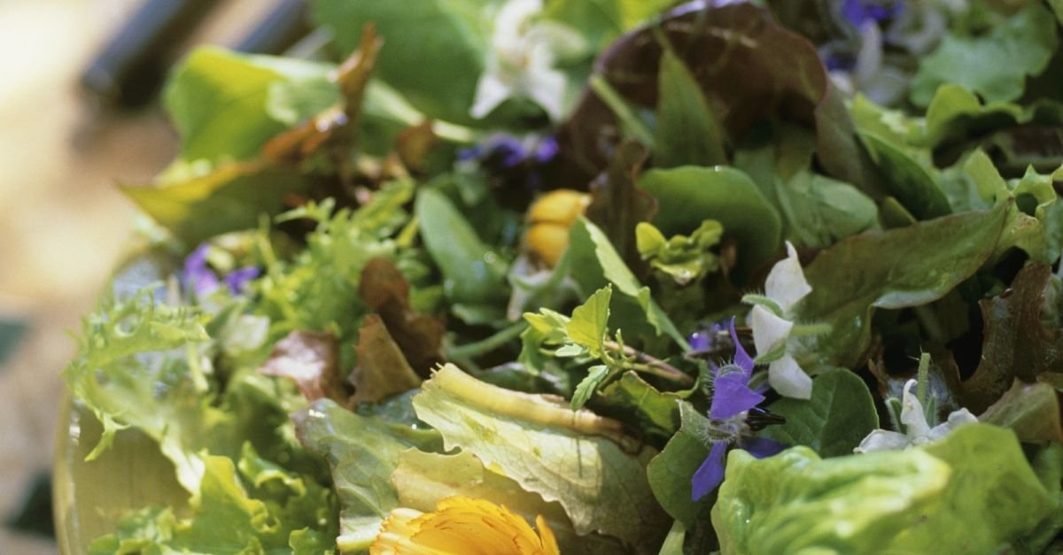 Grüner Salat mit essbaren Blüten