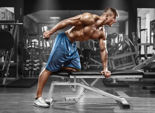 7 Most Important Exercises For Men To Build Muscle Flipboard