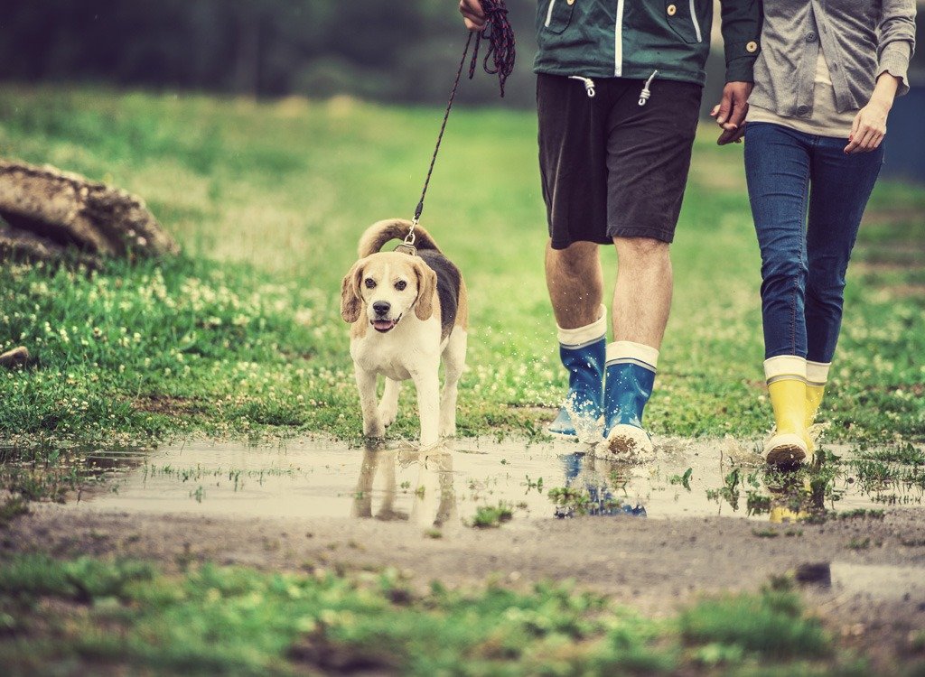 One Major Side Effect of Walking Every Day, Says New Study