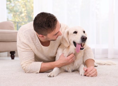 Talking Baby Talk To Your Dog Makes You Happier And Healthier, Science Says