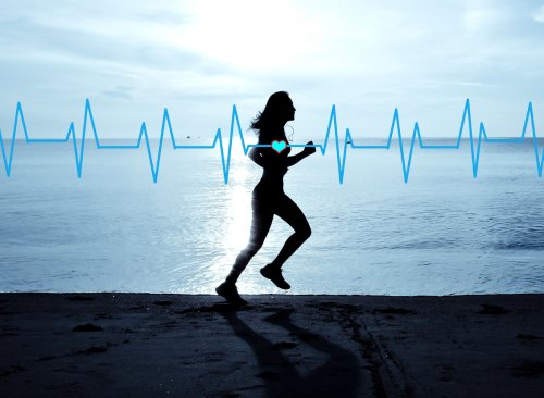 This Is the Ideal Heart Rate Zone if You Want To Burn Fat