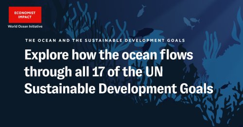 The Ocean and the Sustainable Development Goals